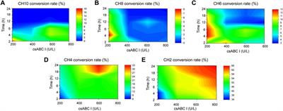 Enzymatic Production of Chondroitin Oligosaccharides and Its Sulfate Derivatives